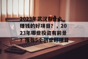 2023年武汉有什么赚钱的好项目？，2023年哪些投资有前景？推荐5个创业好项目