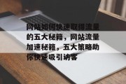网站如何快速取得流量的五大秘籍，网站流量加速秘籍，五大策略助你快速吸引访客