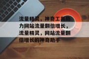 流量精灵，神奇工具助力网站流量翻倍增长，流量精灵，网站流量翻倍增长的神奇助手