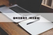 猫咪流量提升（喂流量猫）