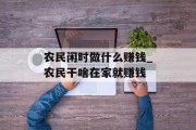 农民闲时做什么赚钱_农民干啥在家就赚钱