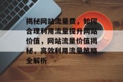 揭秘网站流量费，如何合理利用流量提升网站价值，网站流量价值揭秘，高效利用流量策略全解析