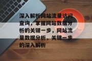 深入解析网站流量访问查询，掌握网站数据分析的关键一步，网站流量数据分析，关键一步的深入解析