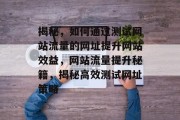 揭秘，如何通过测试网站流量的网址提升网站效益，网站流量提升秘籍，揭秘高效测试网址策略