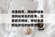 流量精灵，揭秘神秘来源网站背后的故事，流量精灵揭秘，神秘来源网站背后的秘密世界