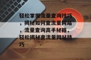 轻松掌握流量查询技巧，揭秘如何查流量网站，流量查询高手秘籍，轻松揭秘查流量网站技巧