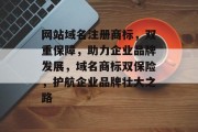 网站域名注册商标，双重保障，助力企业品牌发展，域名商标双保险，护航企业品牌壮大之路