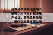 资源分享网站流量增长策略，如何吸引更多用户关注，高效吸粉攻略，揭秘资源分享网站流量增长秘诀