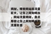 揭秘，哪些网站耗流量巨大，让你上网如喝水，网站流量揭秘，盘点那些让你上网如喝水的流量巨兽