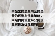 网站出网流量与公网流量的区别与优化策略，网站内网流量与公网流量解析及优化技巧