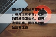 揭秘哪些网站不要流量，避开这些平台，让你的网站焕发生机，避开流量陷阱，揭秘高效网站运营之道
