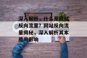 深入解析，什么是网站反向流量？网站反向流量揭秘，深入解析其本质与影响