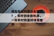 现在在农村做什么赚钱？，农村创业新机遇，一份农村致富好项目推荐