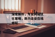 深度解析,专业网站优化策略,助力企业在线崛起 深度解析,专业网站优化策略,助力企业在线崛起