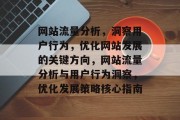网站流量分析，洞察用户行为，优化网站发展的关键方向，网站流量分析与用户行为洞察，优化发展策略核心指南