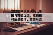 宠物视频流量困境，原因与突破之道，宠物视频流量困境，原因与突破之道