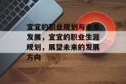宜宜的职业规划与未来发展，宜宜的职业生涯规划，展望未来的发展方向