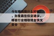 今年赚钱做什么好呢?,年度最佳投资建议,哪些行业赚取现金快又安全 今年赚钱做什么好呢?,年度最佳投资建议,哪些行业赚取现金快又安全