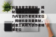 抖音自查流量网站，揭秘流量背后的秘密，助力内容创作者精准定位，揭秘抖音流量奥秘，自查工具助力创作者精准定位