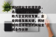 揭秘网站主机提供商，选择合适的合作伙伴，助力企业网络发展，企业网络发展关键，揭秘如何选择理想的网站主机合作伙伴