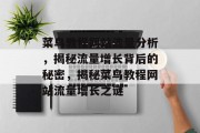 菜鸟教程网站流量分析，揭秘流量增长背后的秘密，揭秘菜鸟教程网站流量增长之谜