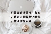 招募网站流量推广专家，助力企业数字化增长，共创辉煌未来