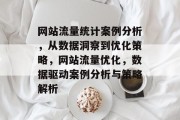网站流量统计案例分析，从数据洞察到优化策略，网站流量优化，数据驱动案例分析与策略解析