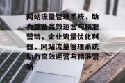 网站流量管理系统，助力企业高效运营与精准营销，企业流量优化利器，网站流量管理系统助力高效运营与精准营销