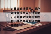 企业网站流量王，揭秘如何打造高效引流策略，企业网站流量加速秘籍，打造高效引流策略全解析
