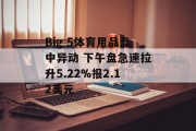 Big 5体育用品盘中异动 下午盘急速拉升5.22%报2.12美元 Big 5体育用品盘中异动 下午盘急速拉升5.22%报2.12美元