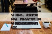 揭秘流量代理网站，如何高效提升网站流量与SEO排名，流量代理网站，揭秘高效提升网站流量与SEO排名的秘密