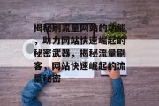揭秘刷流量网站的功能，助力网站快速崛起的秘密武器，揭秘流量刷客，网站快速崛起的流量秘密