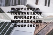 揭秘网站流量费之谜，如何合理规避流量成本，提升网站盈利能力，破解网站流量成本迷局，高效策略提升盈利