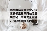 揭秘网站流量之谜，深度解析查看某网站流量的奥秘，网站流量揭秘，探秘流量增长的奥秘