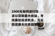 1000元如何进行投资以获取最大收益，寻找最佳投资机会，万元投资最大化收益策略