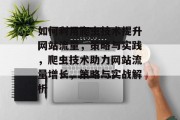 如何利用爬虫技术提升网站流量，策略与实践，爬虫技术助力网站流量增长，策略与实战解析