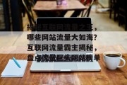 揭秘互联网流量之王，哪些网站流量大如海？互联网流量霸主揭秘，盘点流量巨头网站榜单