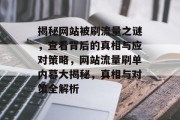 揭秘网站被刷流量之谜，查看背后的真相与应对策略，网站流量刷单内幕大揭秘，真相与对策全解析