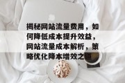揭秘网站流量费用，如何降低成本提升效益，网站流量成本解析，策略优化降本增效之道