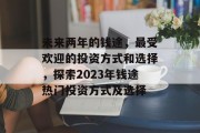 未来两年的钱途,最受欢迎的投资方式和选择,探索2023年钱途热门投资方式及选择 未来两年的钱途,最受欢迎的投资方式和选择,探索2023年钱途热门投资方式及选择