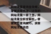 网站流量查询全攻略，掌握这些方法，让你的网站流量一目了然，网站流量分析全解析，掌握高效查询技巧，洞察网站流量动态