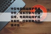 中型电商网站维护费用分析，成本控制与价值实现，电商网站维护成本解析，控制策略与价值评估