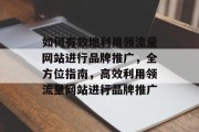 如何有效地利用领流量网站进行品牌推广，全方位指南，高效利用领流量网站进行品牌推广