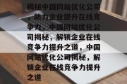 揭秘中国网站优化公司，助力企业提升在线竞争力，中国网站优化公司揭秘，解锁企业在线竞争力提升之道，中国网站优化公司揭秘，解锁企业在线竞争力提升之道