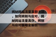 揭秘网站流量真假之谜，如何辨别与应对，揭秘网站流量真伪，辨别与应对策略全解析