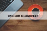 提升dsp流量（dsp能调大音量吗）