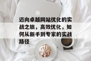 迈向卓越网站优化的实战之旅，高效优化，如何从新手到专家的实战路径