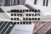 信息行业的赚钱机会与前景分析,洞察信息行业趋势,当前盈利机会与未来发展预测 信息行业的赚钱机会与前景分析,洞察信息行业趋势,当前盈利机会与未来发展预测