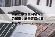 揭秘在刷流量网站背后的秘密,流量背后的真相与警示 揭秘在刷流量网站背后的秘密,流量背后的真相与警示
