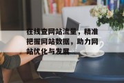在线查网站流量,精准把握网站数据,助力网站优化与发展 在线查网站流量,精准把握网站数据,助力网站优化与发展